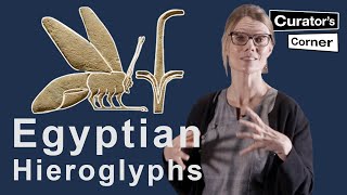 Learn how to read Ancient Egyptian Hieroglyphs with Ilona Regulski  Curators Corner S7 E11 [upl. by Lozar433]