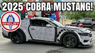 Report 2025 COBRA  GT500 Mustang to be 840hp and Stick Shift [upl. by Coplin937]