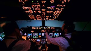 Flying In Extreme Weather Conditions  Heavy Snow  Boeing 737 Go Around Cockpit View [upl. by Enatan]