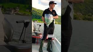 Aus catch the big 5 am Ossiachersee fishingprofi angeln [upl. by Marmaduke]