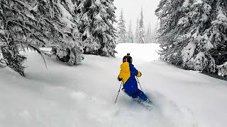 Deer Valley tree skiing guide marked and unmarked runs [upl. by Coray660]