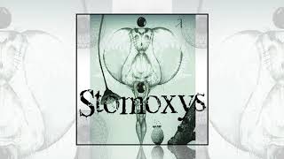 Stomoxys  Enjambre [upl. by Dublin]