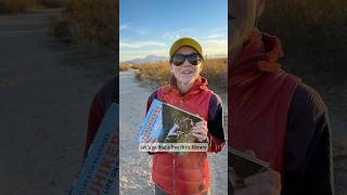 Hiding books in Free Little Libraries while we travel [upl. by Dlanor789]