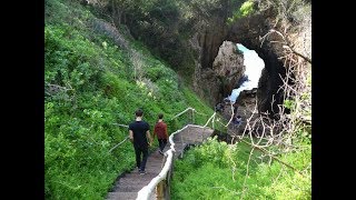 The most beautiful walk in the world  Knysna Featherbed Eco Experience [upl. by Alitta883]