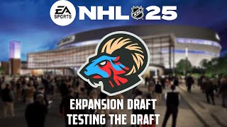 LOTS OF YOUNG TALENT TO STEAL  NHL 25  Testing The Draft  Ep 1 [upl. by Nomihs]