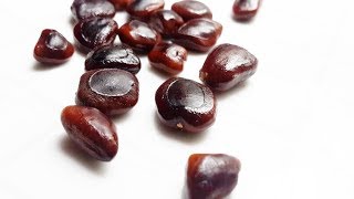 How to make Tamarind seeds powder amp Benefits [upl. by Lightfoot765]