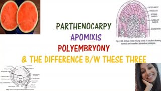 Parthenocarpy Apomixis Polyembryony and difference between these threeReproductionBansalbiology [upl. by Atenek785]