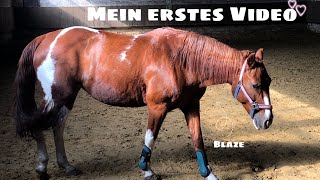 Mein erstes Video💕 mit Reitbeteiligung ausreiten😍Vibeswithmaja [upl. by Acinaj224]