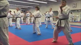 Chito Ryu Ontario Instructor Training [upl. by Yruj]