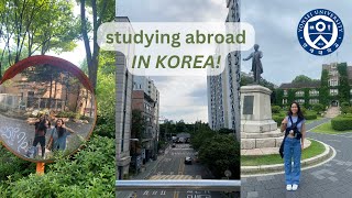 studying abroad iN KOREA  dorm tour  Yonsei Uni [upl. by Matheny]