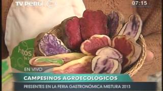 Conozca los insumos agroecológicos de Mistura 2013 [upl. by Hodosh]