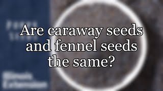 Are caraway seeds and fennel seeds the same [upl. by Aredna]