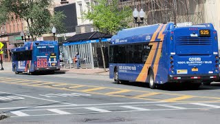 Buses on Detours Cdta and Trailways Bus Action in Downtown Albany NY S2EP12 [upl. by Josie397]