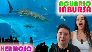 El ESPECTACULAR ACUARIO INBURSA  Solo en CDMX  NOS ENCANTO [upl. by Aivyls]