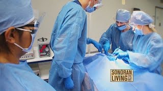 Whole body donation process benefits everyone [upl. by Rehtul]