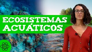 Qué son los ECOSISTEMAS ACUÁTICOS 🌊 Tipos [upl. by Henry914]