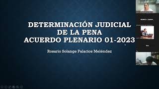 CURSO SOBRE DETERMINACIÓN JUDICIAL DE LA PENA [upl. by Oleta]