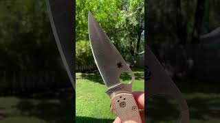 Spyderco Paramilitary 2 [upl. by Atirb]