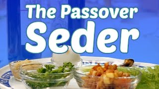 The Passover Seder What to Expect [upl. by Siulegroj823]