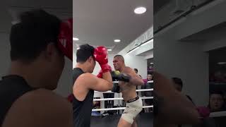 Boxer goes toetotoe with UFC champ Alex Pereira during a South Korea gym session 😳 Boxing MMA [upl. by Leisam]