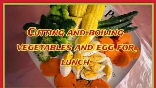 CUTTING AND BOILING VEGETABLES AND EGG FOR LUNCH cutting boiling food viralvideo trending asmr [upl. by Lebazej177]