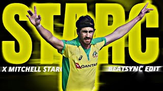 Mitchell Starc Status  945 X Mitchell Starc  Mitchell Starc IPL auction cricketshorts [upl. by Martina15]