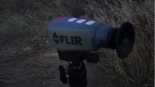 FLIR Scout PS32 Thermal Imager Brief Review [upl. by Eekram]