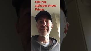 Cats rap Alphabet Street Prince [upl. by Gninnahc]