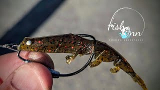 A Close Up Look At The Daiwa Bait Junkie 235quot Prawn [upl. by Honniball]