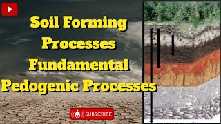 Soil Forming processPedogenic processes  Fundamentals pedogenic processessoilscience agriculture [upl. by Ahseinaj]