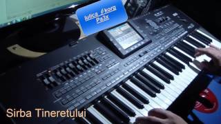 Korg Pa3x  Etno Sarba Tineretului cover [upl. by Atnauqal783]