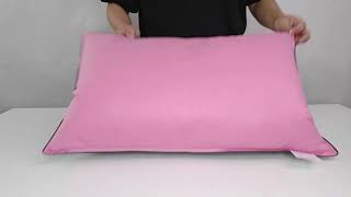 50x70cm Dual Color Feather Pillow [upl. by Ernest536]