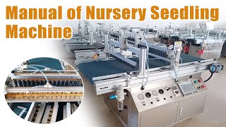 Vegetable Nursery Seedling Machine Manual Installation Guide and Operation Videoseeding seeder [upl. by Roshan299]