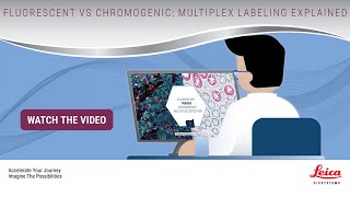 Fluorescent vs Chromogenic Multiplex Labeling Explained [upl. by Aneloj709]