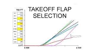 TAKEOFF FLAP SELECTION [upl. by Kachine784]