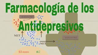 Farmacología del citalopram la fluoxetina y otros antidepresivos [upl. by Hafital]