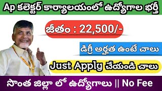 AP గవర్నమెంట్ జాబ్ నోటిఫికేషన్ 2024 AP Collector Office Notification 2024 Ap Dist Wise Jobs 2024 [upl. by Gherlein]