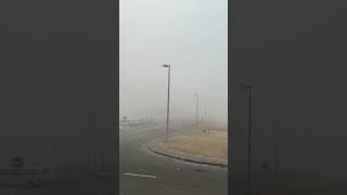 Abudhabi Fogy Day [upl. by Loy]