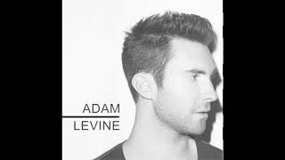 Adam Levine  Stereo Hearts no rap [upl. by Itsim]