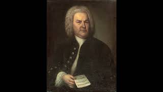 Bach Jesus bleibet bwv147 [upl. by Nnylak675]