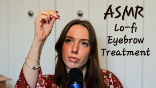 Eyebrow Treatment ASMR  Lofi Spa Beauty Appointment [upl. by Thoer]