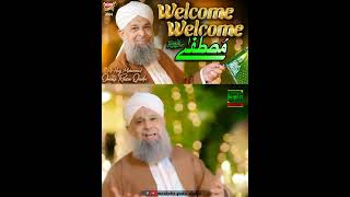 Owais Raza Qadri  Welcome Welcome Mustafa  Status Clip  New Kalam  2024 [upl. by Costello249]