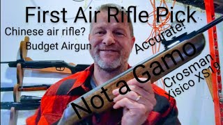 Why Buy a Chinese Airgun over a Gamo [upl. by Benisch]