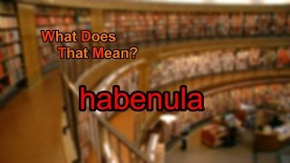 What does habenula mean [upl. by Kcub]