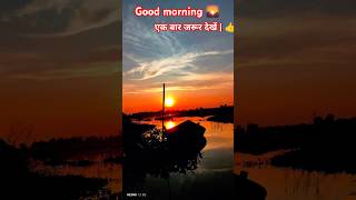 Oh God good morning 🌄 shorts viralshorts trending videoshort bhojpuri morning photography 😜🤪 [upl. by Guttery254]