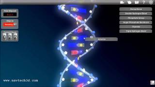 Interactive 3D DNA [upl. by Letnwahs246]