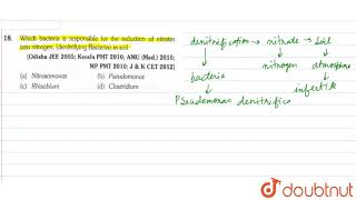 Which bacteria is responsible for the reduction of nitrates into nitrogen denitrifying Bacteria [upl. by Doowle]