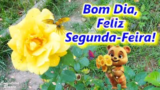 Mensagem de Bom Dia Feliz Segunda Feira Boa Semana [upl. by Slorac222]