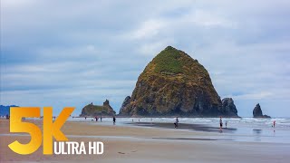 Pacific Northwest Part 1  Coastal Oregon  Views of the Ocean in 5K  3 HOUR Relaxation Video [upl. by Endys]