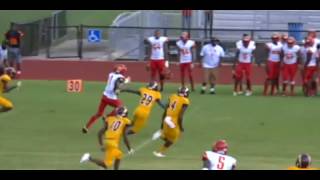 Daewood Davis Kickoff Return Pure Speed [upl. by Pfaff457]